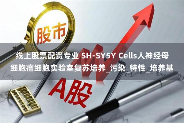 线上股票配资专业 SH-SY5Y Cells人神经母细胞瘤细胞实验室复苏培养_污染_特性_培养基