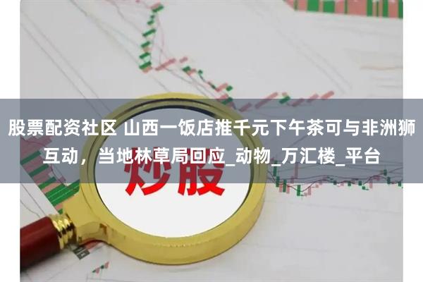 股票配资社区 山西一饭店推千元下午茶可与非洲狮互动，当地林草局回应_动物_万汇楼_平台