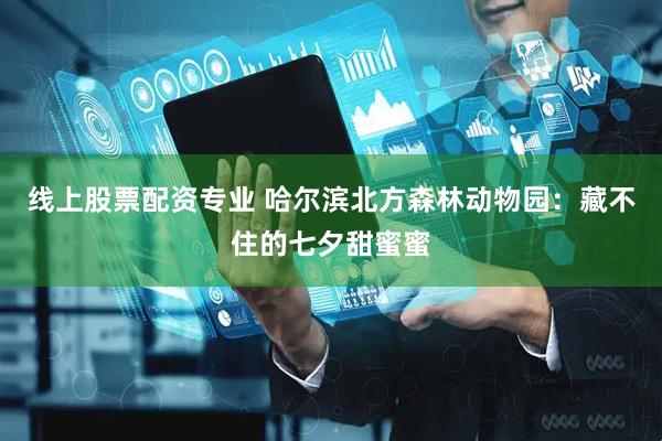 线上股票配资专业 哈尔滨北方森林动物园：藏不住的七夕甜蜜蜜