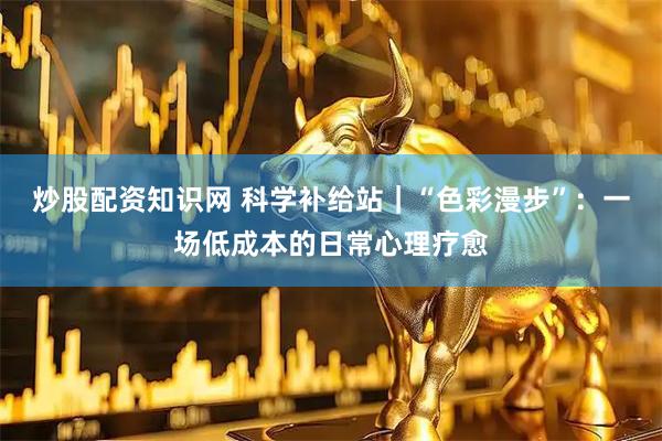 炒股配资知识网 科学补给站｜“色彩漫步”：一场低成本的日常心理疗愈